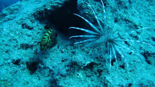 tumblr a8caad440660ebaad315c7612056e58c 98471cbc 1280