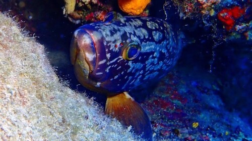 tumblr 131b33ecf6f9b6daf3a6e135af93e8a9 f58e5ad2 1280