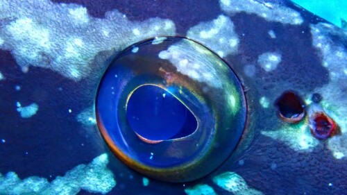 tumblr a9d03ab62af84039f7cbf6e97abcfa05 00611af5 1280