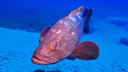 tumblr 391d1f5a6a61556845465dd461c7e8eb de9e6cd7 1280