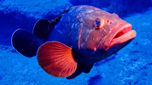 tumblr 5f8246982b8d489da10158637a59bb37 34cc37d7 1280